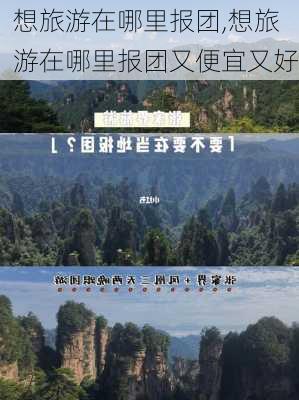 想旅游在哪里报团,想旅游在哪里报团又便宜又好