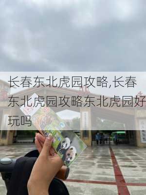 长春东北虎园攻略,长春东北虎园攻略东北虎园好玩吗