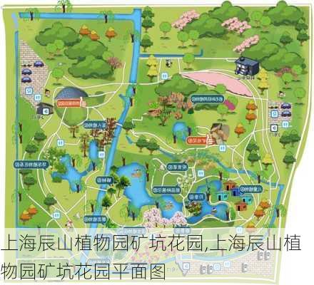 上海辰山植物园矿坑花园,上海辰山植物园矿坑花园平面图