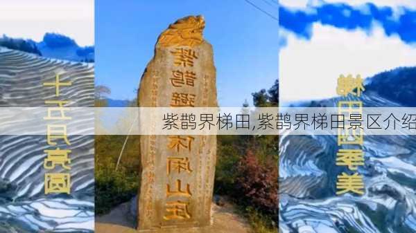 紫鹊界梯田,紫鹊界梯田景区介绍