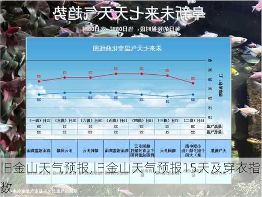 旧金山天气预报,旧金山天气预报15天及穿衣指数