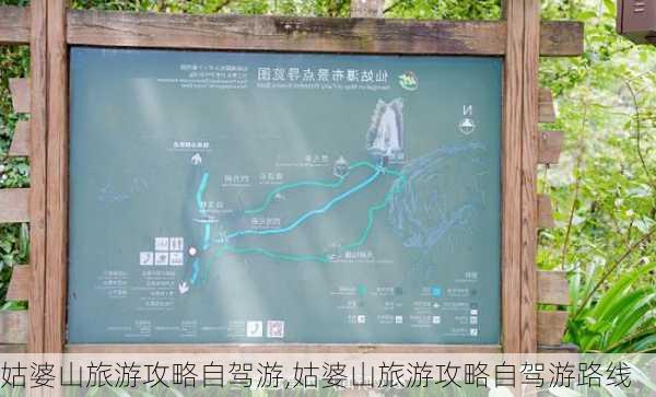 姑婆山旅游攻略自驾游,姑婆山旅游攻略自驾游路线