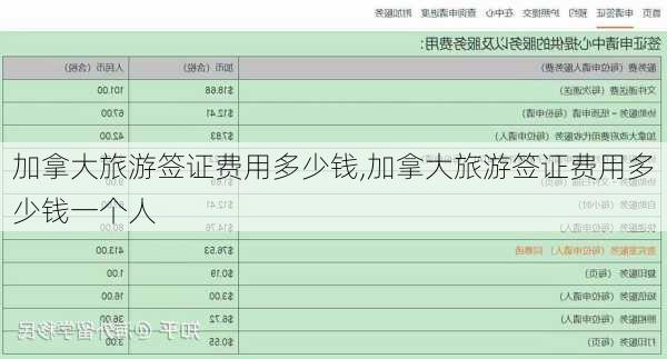 加拿大旅游签证费用多少钱,加拿大旅游签证费用多少钱一个人