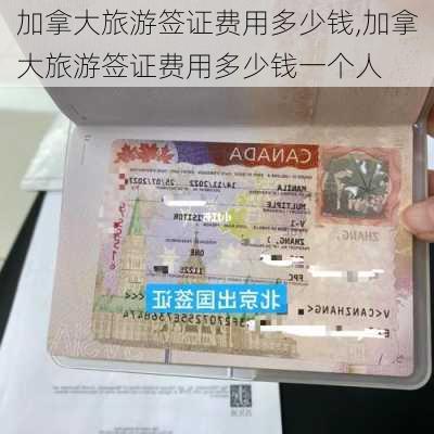 加拿大旅游签证费用多少钱,加拿大旅游签证费用多少钱一个人