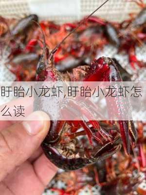 盱眙小龙虾,盱眙小龙虾怎么读