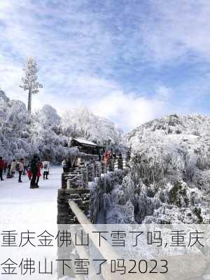 重庆金佛山下雪了吗,重庆金佛山下雪了吗2023