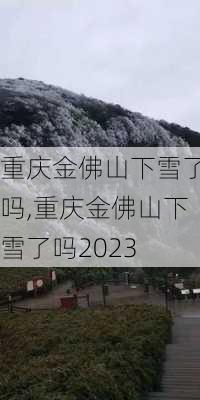 重庆金佛山下雪了吗,重庆金佛山下雪了吗2023