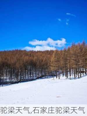 驼梁天气,石家庄驼梁天气