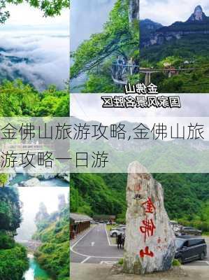 金佛山旅游攻略,金佛山旅游攻略一日游