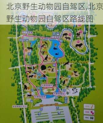 北京野生动物园自驾区,北京野生动物园自驾区路线图