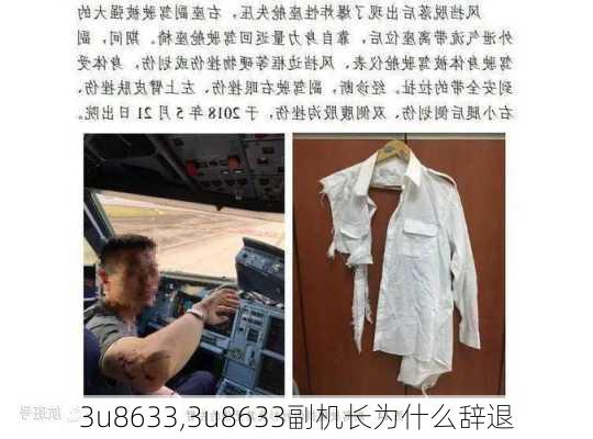 3u8633,3u8633副机长为什么辞退