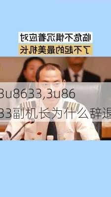 3u8633,3u8633副机长为什么辞退