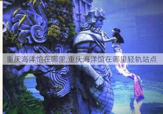 重庆海洋馆在哪里,重庆海洋馆在哪里轻轨站点