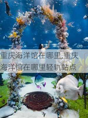 重庆海洋馆在哪里,重庆海洋馆在哪里轻轨站点