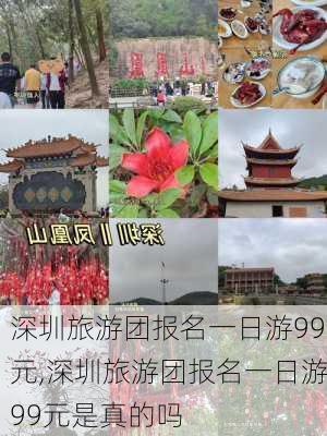 深圳旅游团报名一日游99元,深圳旅游团报名一日游99元是真的吗