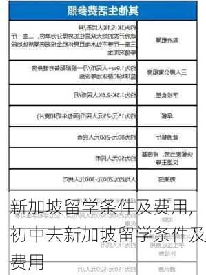 新加坡留学条件及费用,初中去新加坡留学条件及费用