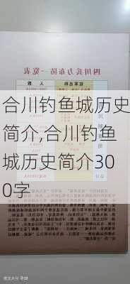 合川钓鱼城历史简介,合川钓鱼城历史简介300字