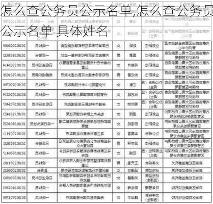 怎么查公务员公示名单,怎么查公务员公示名单 具体姓名