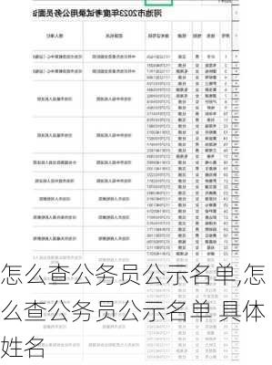 怎么查公务员公示名单,怎么查公务员公示名单 具体姓名