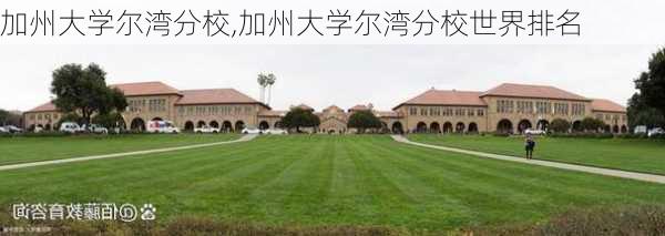 加州大学尔湾分校,加州大学尔湾分校世界排名