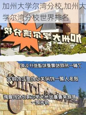 加州大学尔湾分校,加州大学尔湾分校世界排名