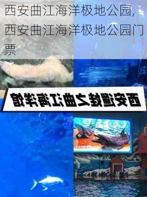 西安曲江海洋极地公园,西安曲江海洋极地公园门票