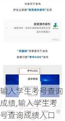 输入学生考号查询成绩,输入学生考号查询成绩入口