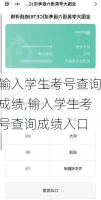 输入学生考号查询成绩,输入学生考号查询成绩入口