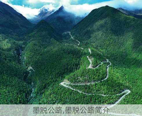 墨脱公路,墨脱公路简介