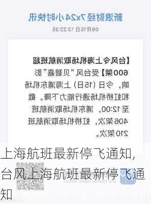 上海航班最新停飞通知,台风上海航班最新停飞通知