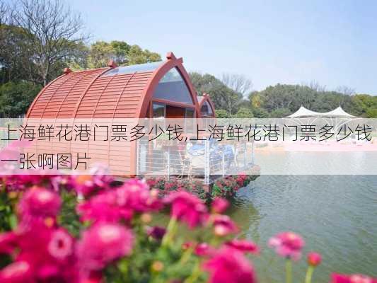 上海鲜花港门票多少钱,上海鲜花港门票多少钱一张啊图片