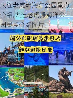 大连老虎滩海洋公园景点介绍,大连老虎滩海洋公园景点介绍图片