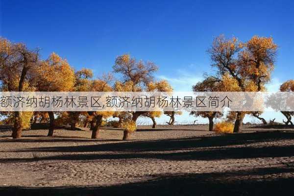 额济纳胡杨林景区,额济纳胡杨林景区简介