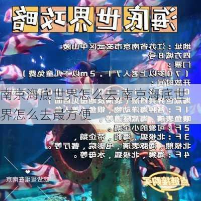 南京海底世界怎么去,南京海底世界怎么去最方便