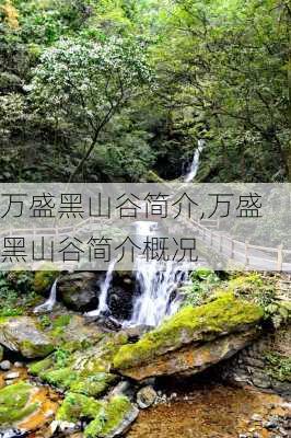 万盛黑山谷简介,万盛黑山谷简介概况