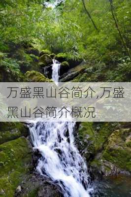 万盛黑山谷简介,万盛黑山谷简介概况