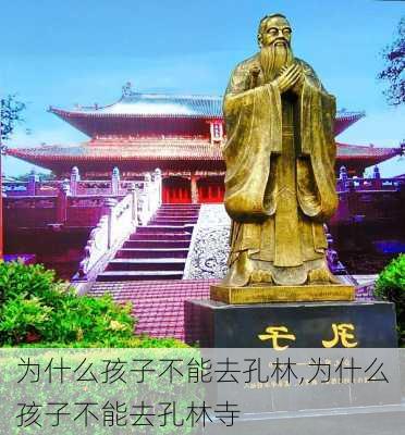 为什么孩子不能去孔林,为什么孩子不能去孔林寺