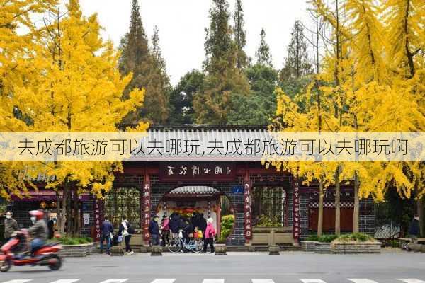 去成都旅游可以去哪玩,去成都旅游可以去哪玩啊