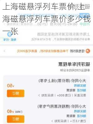 上海磁悬浮列车票价,上海磁悬浮列车票价多少钱一张