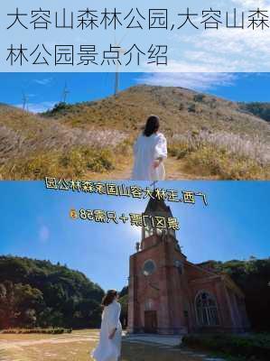 大容山森林公园,大容山森林公园景点介绍