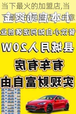 当下最火的加盟店,当下最火的加盟店小生意