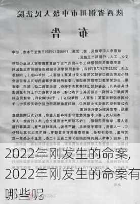 2022年刚发生的命案,2022年刚发生的命案有哪些呢