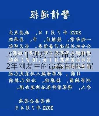 2022年刚发生的命案,2022年刚发生的命案有哪些呢