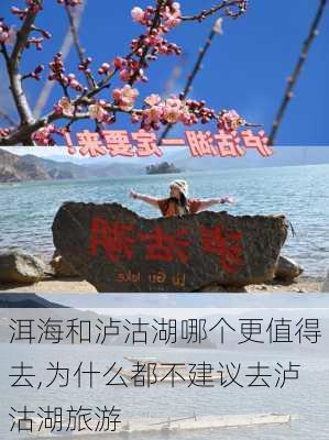 洱海和泸沽湖哪个更值得去,为什么都不建议去泸沽湖旅游