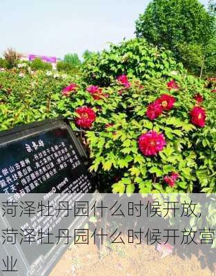 菏泽牡丹园什么时候开放,菏泽牡丹园什么时候开放营业