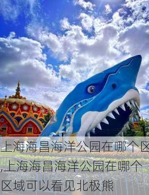 上海海昌海洋公园在哪个区,上海海昌海洋公园在哪个区域可以看见北极熊