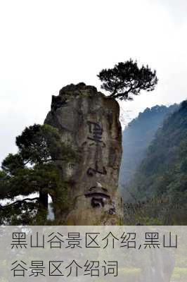 黑山谷景区介绍,黑山谷景区介绍词