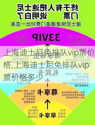 上海迪士尼免排队vip票价格,上海迪士尼免排队vip票价格多少