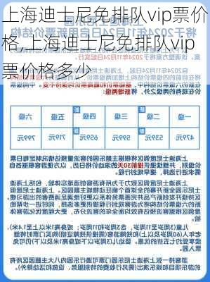 上海迪士尼免排队vip票价格,上海迪士尼免排队vip票价格多少