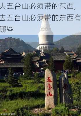 去五台山必须带的东西,去五台山必须带的东西有哪些